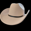 Felt Cowboy Hat with Thin Band