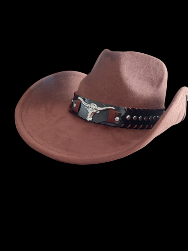 Felt Cowboy Hat with Silver Longhorn and Rivets